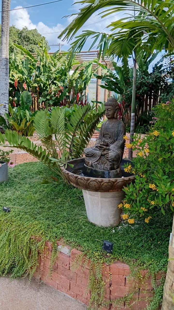 Jardim da loja com fonte de Buda, zamia, forração e arbusto florido